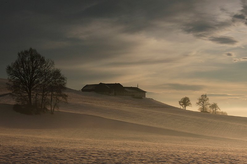 173 - winterabend - KOLBRICH Robert - austria.jpg